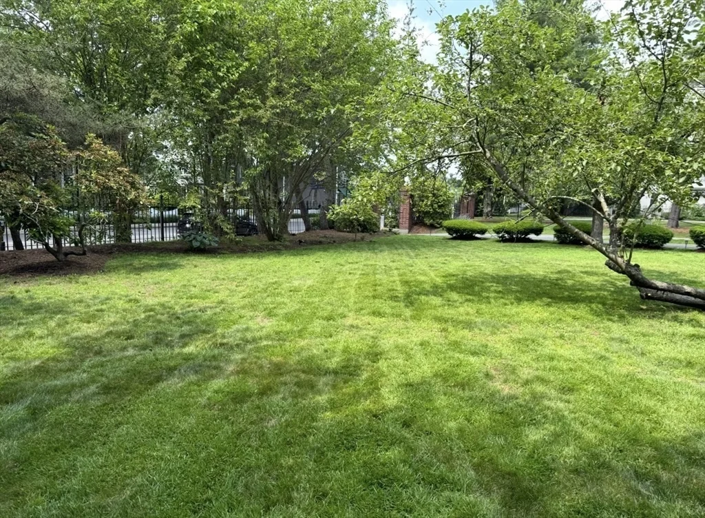 1 bed, 1 bath apartment for rent at 600 Washington St Unit 7, Wellesley — photo 9 of 15