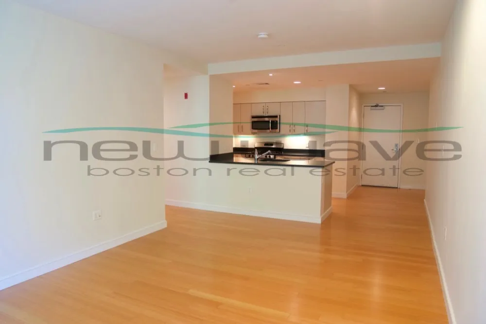 1 bed, 1 bath apartment for rent at 601 Albany St Unit 406, South End — photo 3 of 10