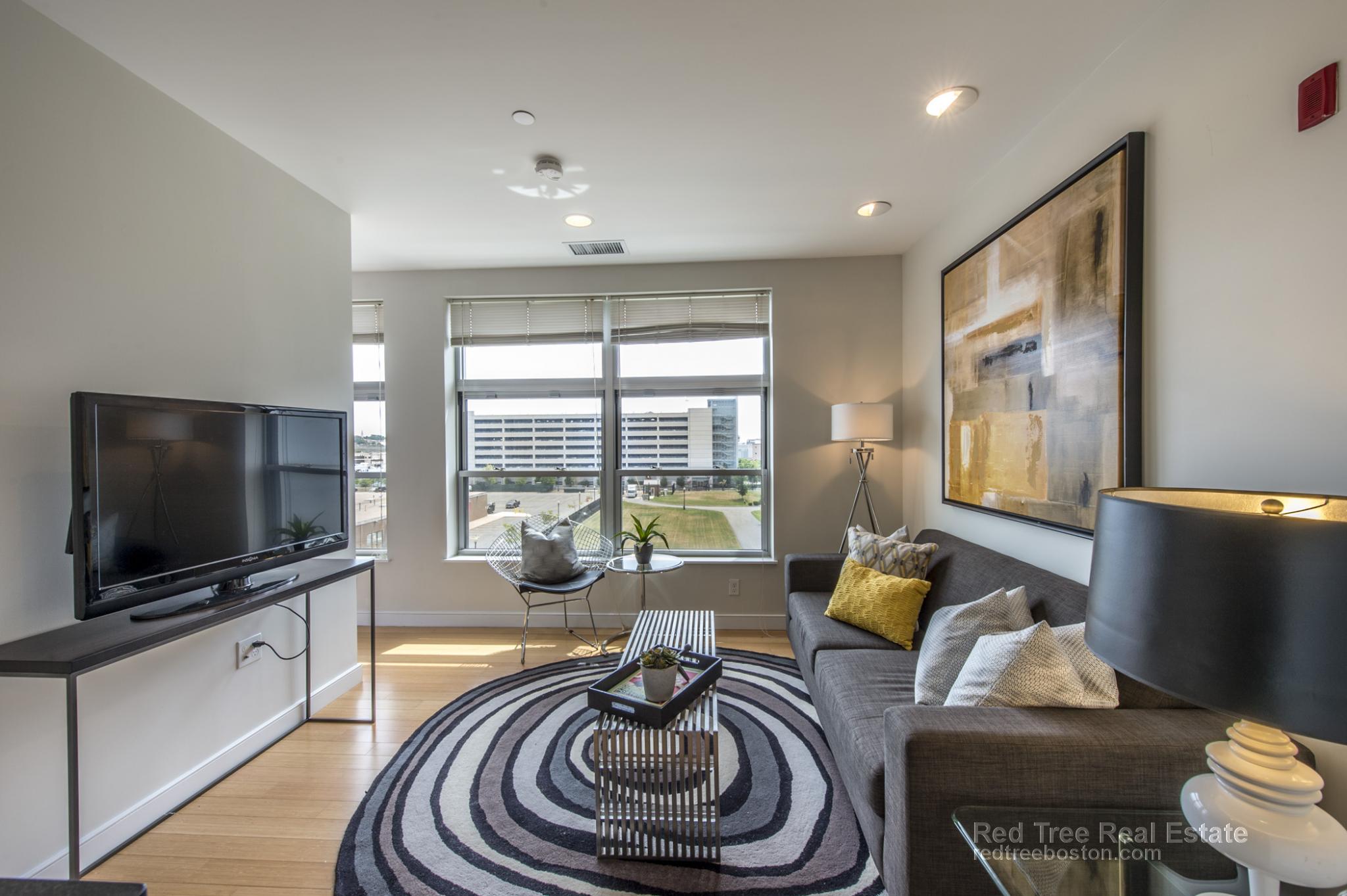2 bed, 1 bath apartment for rent at 601 Albany St Unit 602, South End — photo 2 of 13