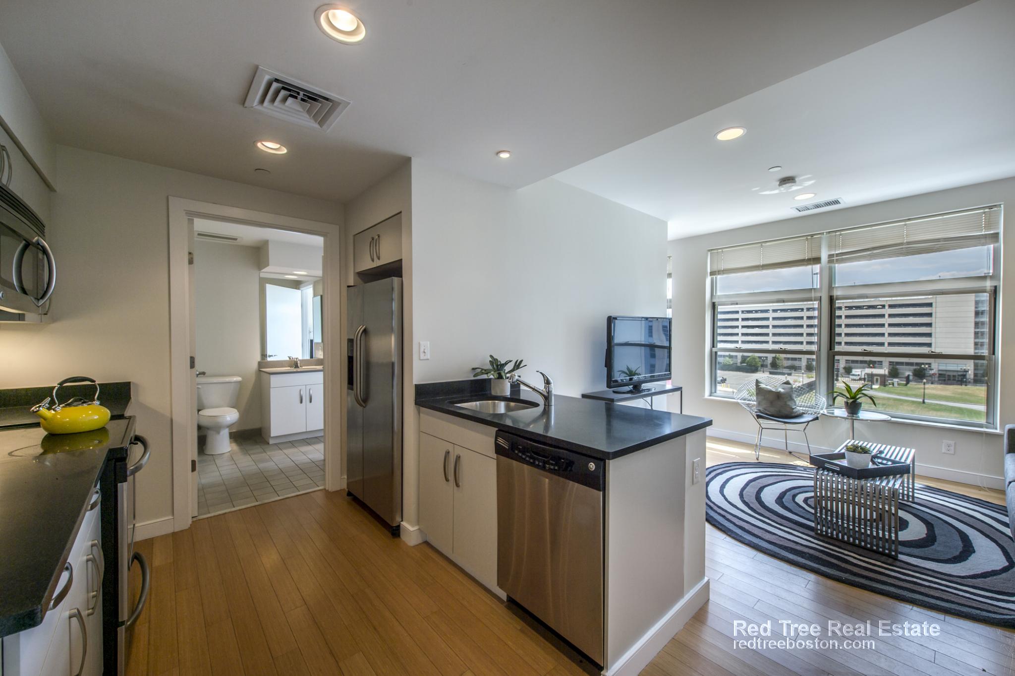 2 bed, 1 bath apartment for rent at 601 Albany St Unit 602, South End