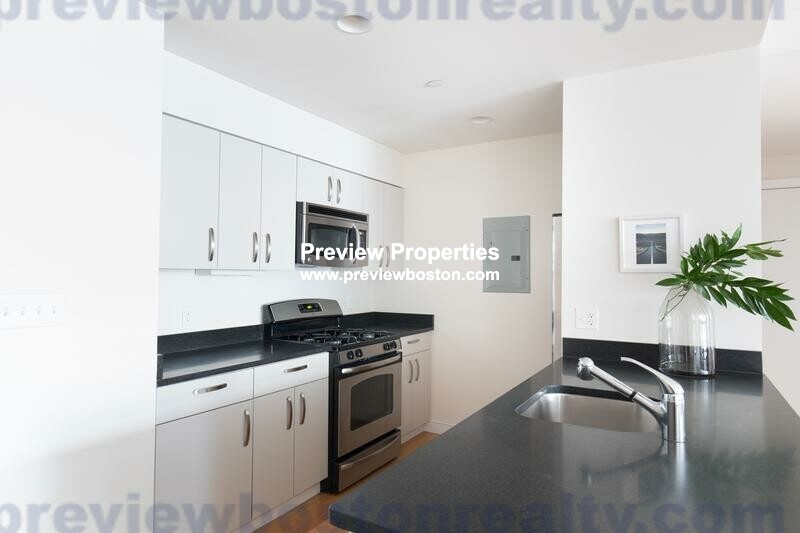 2 bed, 1.5 bath apartment for rent at 601 Albany St Unit 602P, South End