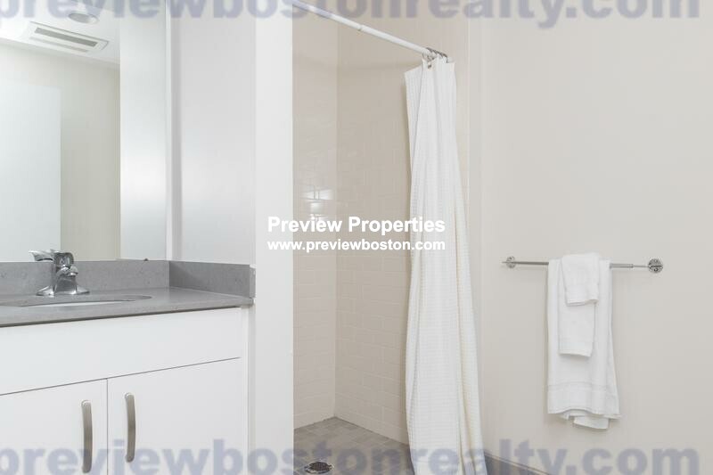 2 bed, 1.5 bath apartment for rent at 601 Albany St Unit 602P, South End — photo 9 of 11