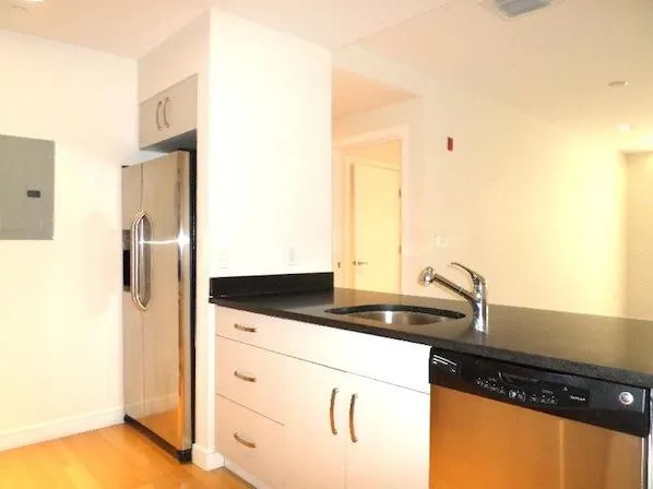 2 bed, 1.5 bath apartment for rent at 601 Albany St Unit 605, South End — photo 10 of 18