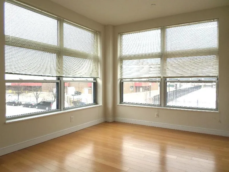 2 bed, 1.5 bath apartment for rent at 601 Albany St Unit 605, South End — photo 2 of 18