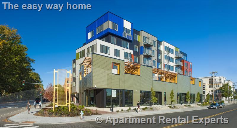 Studio bed, 1 bath apartment for rent at 603 Concord Ave Unit 208, Fresh Pond — photo 8 of 9