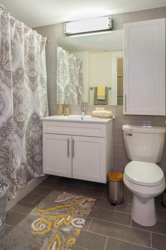 Studio bed, 1 bath apartment for rent at 603 Concord Ave Unit 309B, Cambridge Highlands — photo 3 of 10