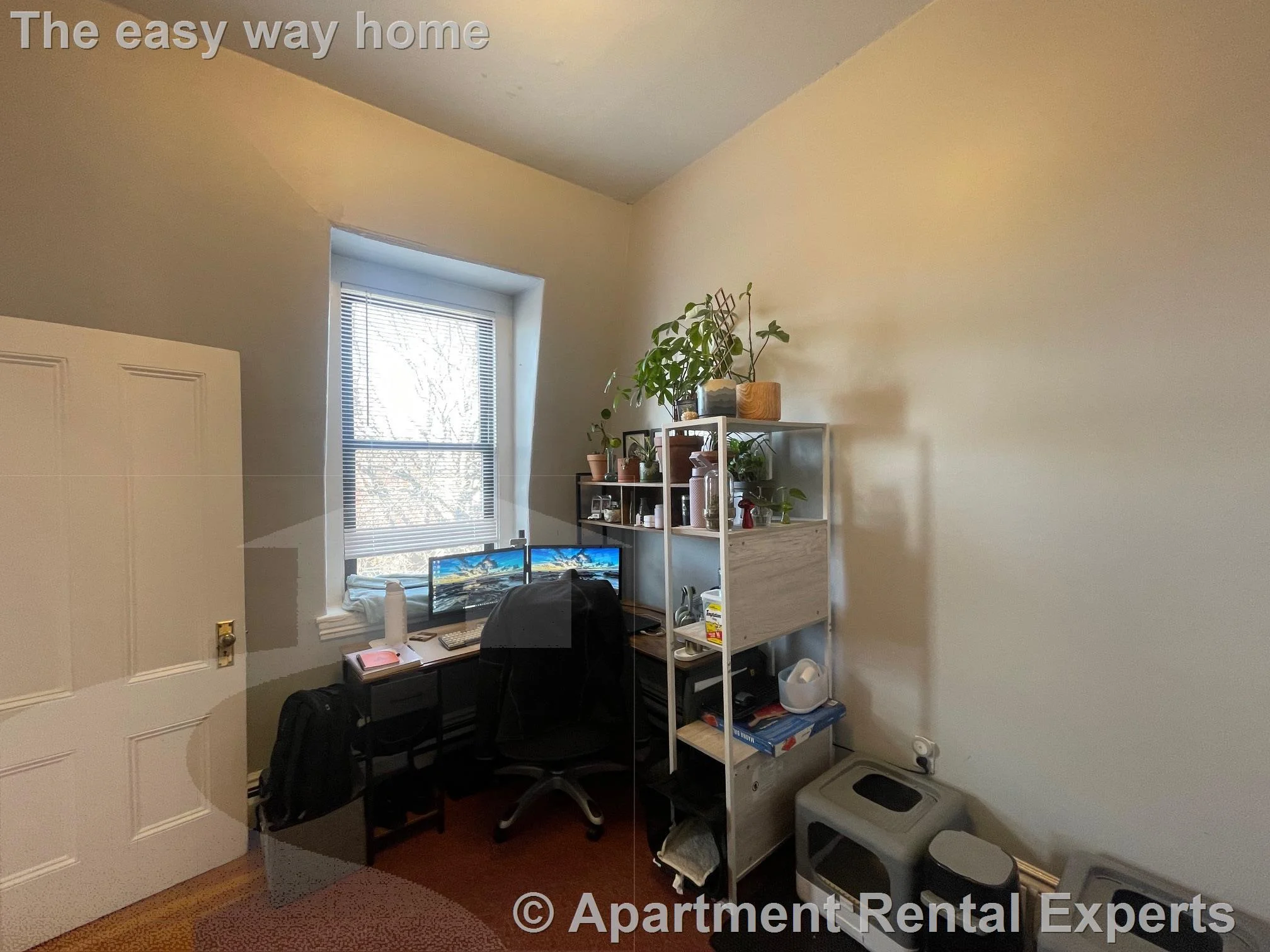 1 bed, 1 bath apartment for rent at 61 Adams St Unit 3, Magoun Square — photo 4 of 11