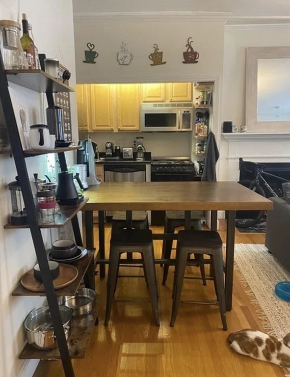 1 bed, 1 bath apartment for rent at 61 Hancock St Unit 5, Beacon Hill — photo 6 of 12