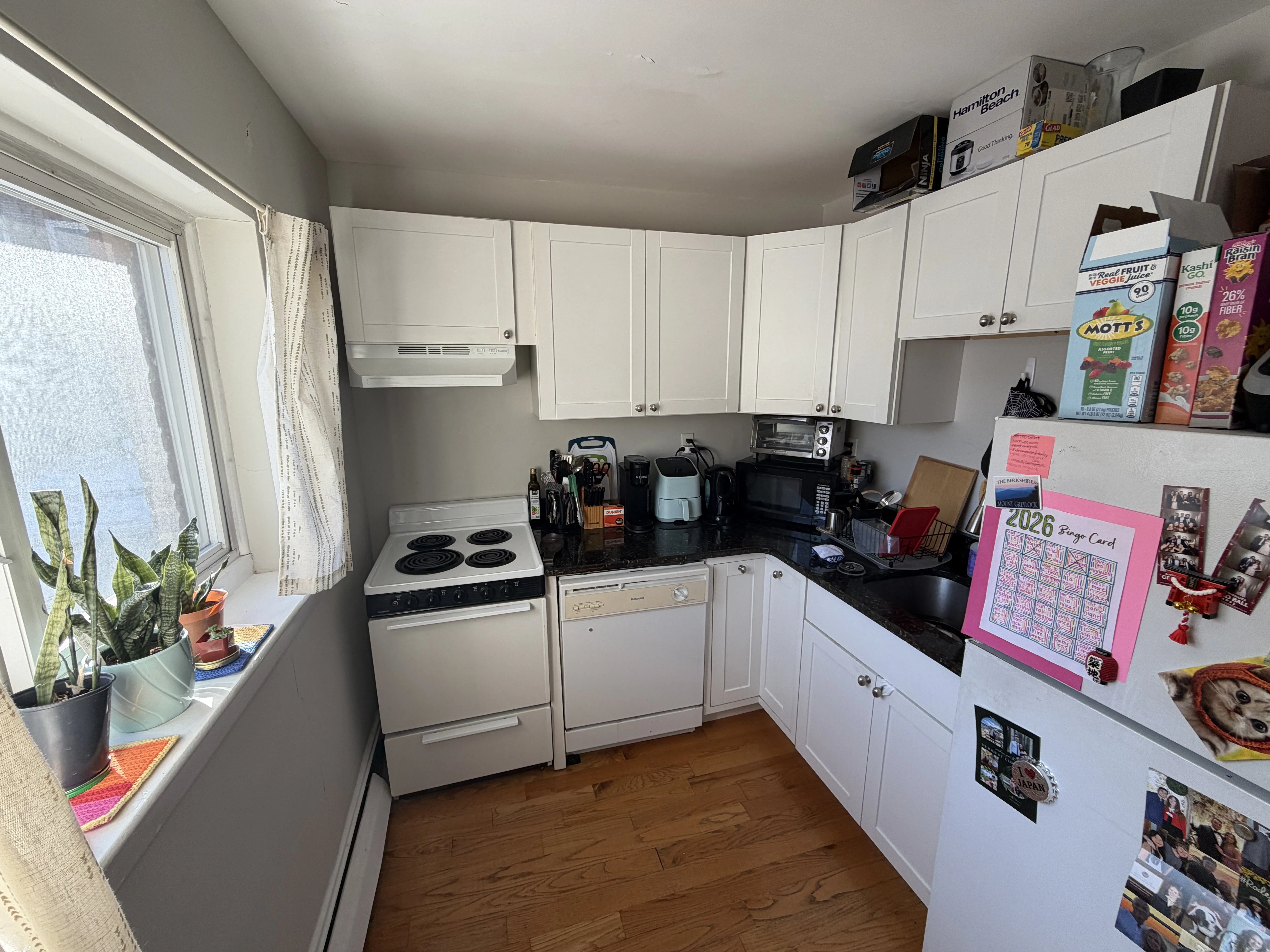1 bed, 1 bath apartment for rent at 61 Selkirk Rd Unit 3, Brighton — photo 11 of 28