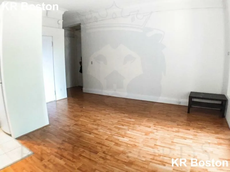 Studio bed, 1 bath apartment for rent at 62 Boylston St Unit 225, Boston Downtown — photo 10 of 21