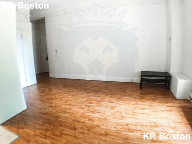 Studio bed, 1 bath apartment for rent at 62 Boylston St Unit 225, Boston Downtown — photo 18 of 21