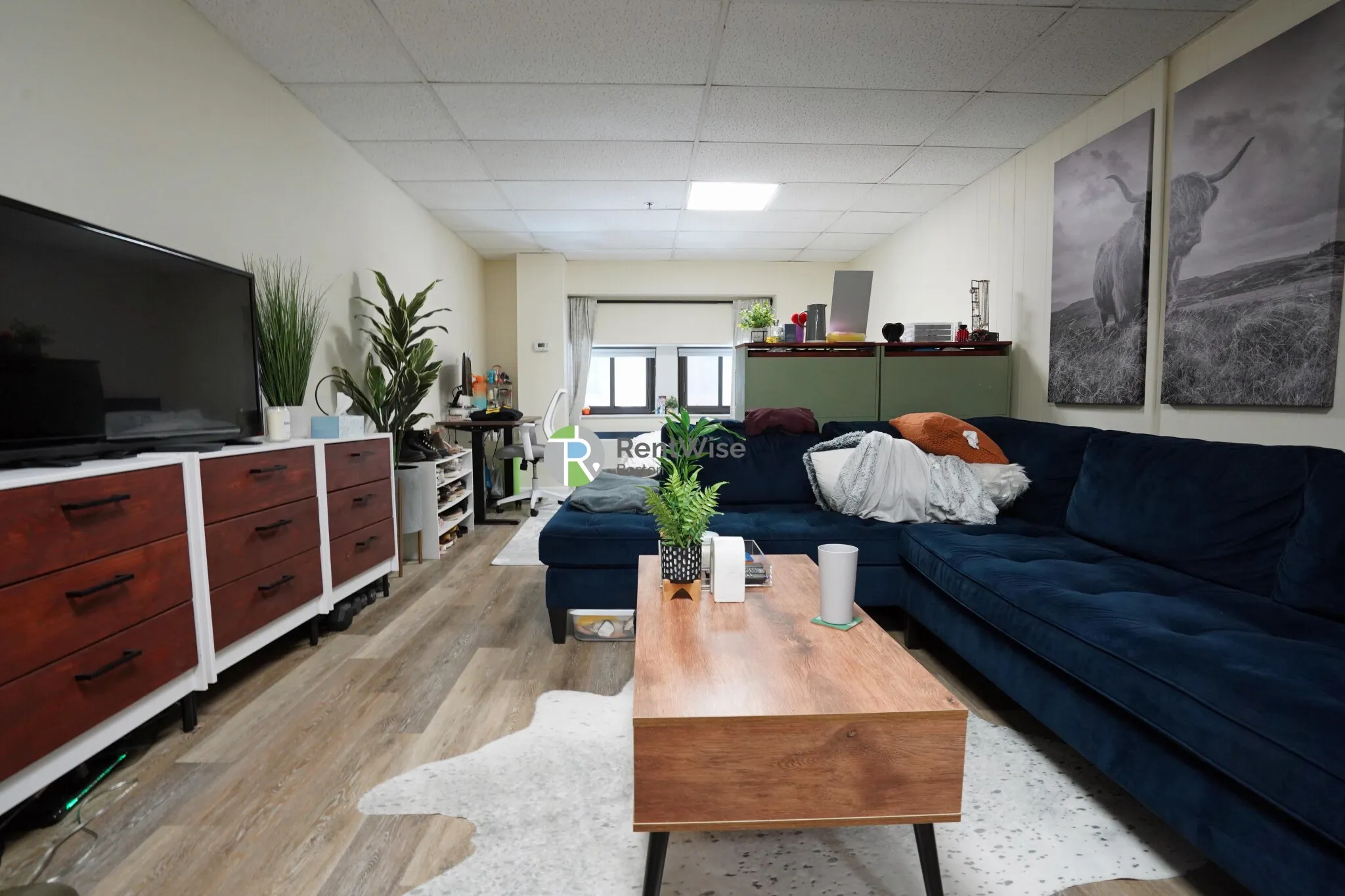 Studio bed, 1 bath apartment for rent at 62 Boylston St Unit M12, Boston Downtown — photo 1 of 12