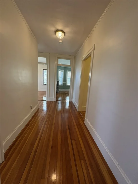 3 bed, 1 bath apartment for rent at 62 Ibbetson St Unit 3L, Spring Hill — photo 10 of 20
