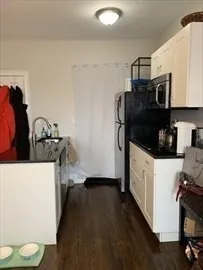 1 bed, 1 bath apartment for rent at 62 W Rutland Sq Unit 10, South End — photo 3 of 6