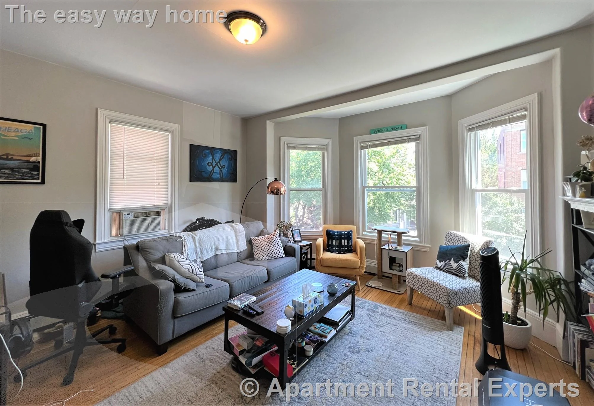 1 bed, 1 bath apartment for rent at 63 Dana St Unit 3, Cambridge — photo 3 of 13