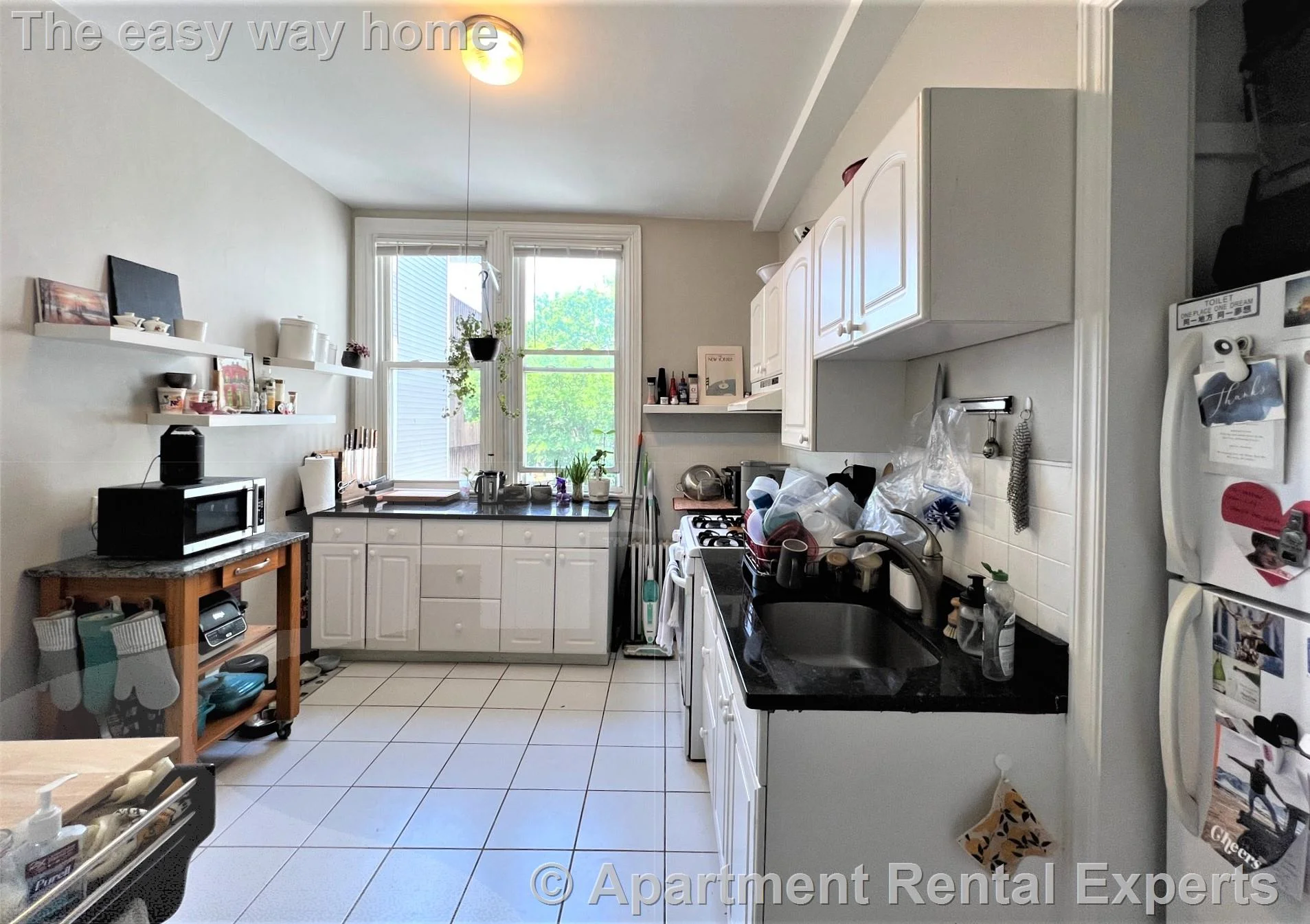 1 bed, 1 bath apartment for rent at 63 Dana St Unit 3, Cambridge — photo 6 of 13
