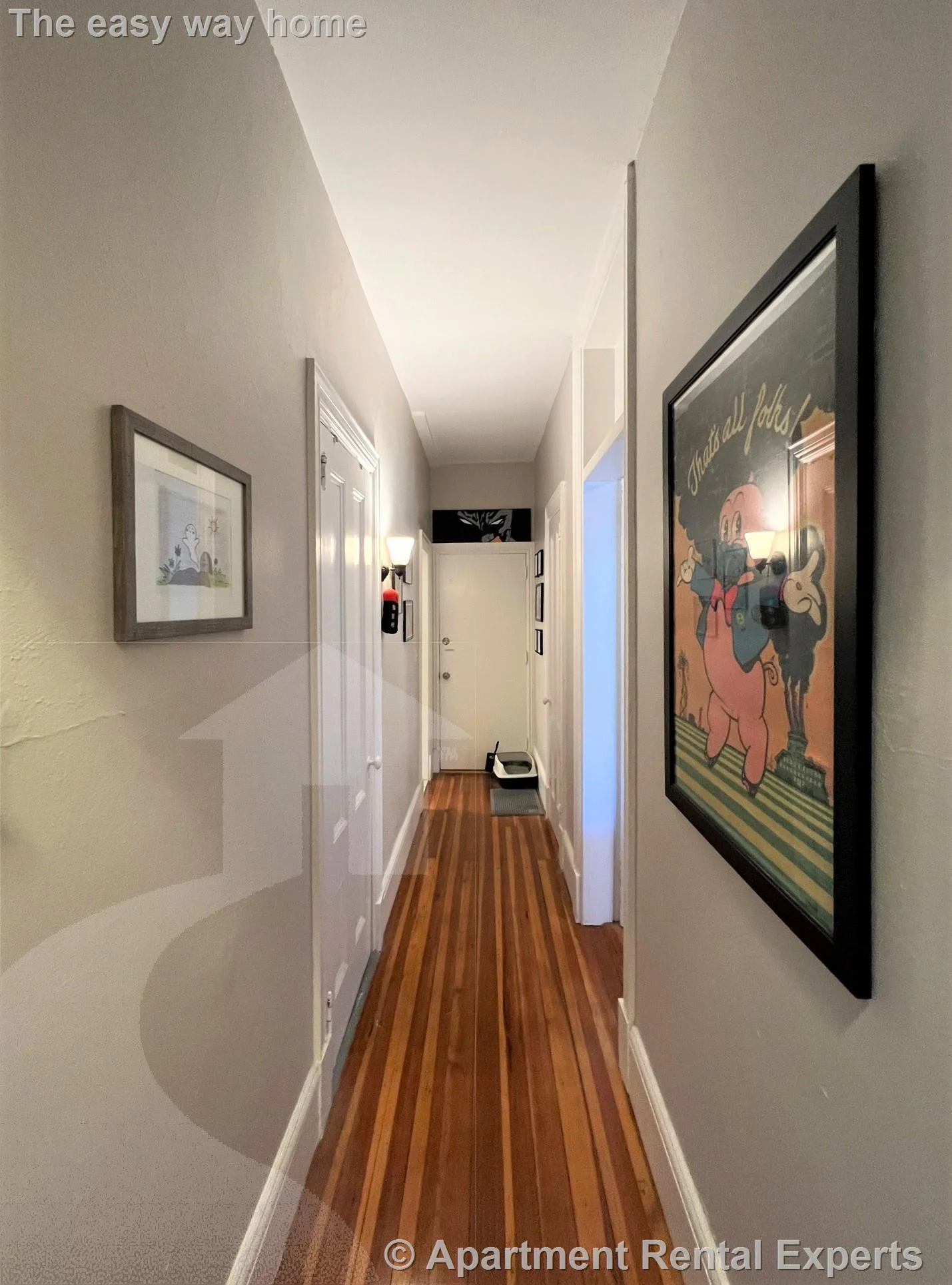 1 bed, 1 bath apartment for rent at 63 Dana St Unit 3, Cambridge — photo 8 of 13