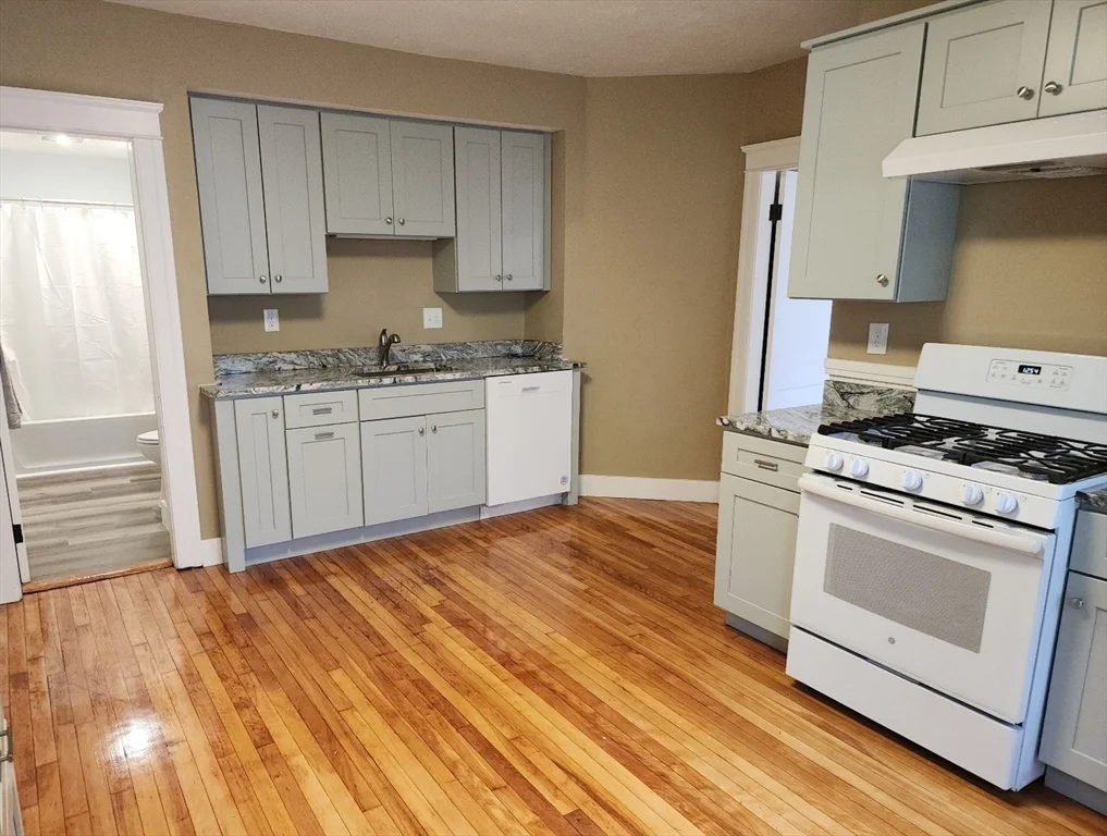 2 bed, 2 bath apartment for rent at 63 Fifth Ave Unit 1, Worcester — photo 2 of 13