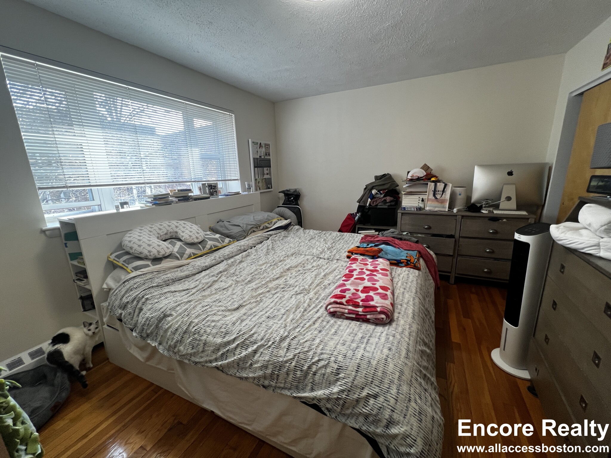 2 bed, 1 bath apartment for rent at 63 Parkman St Unit 3A, North Brookline — photo 4 of 14
