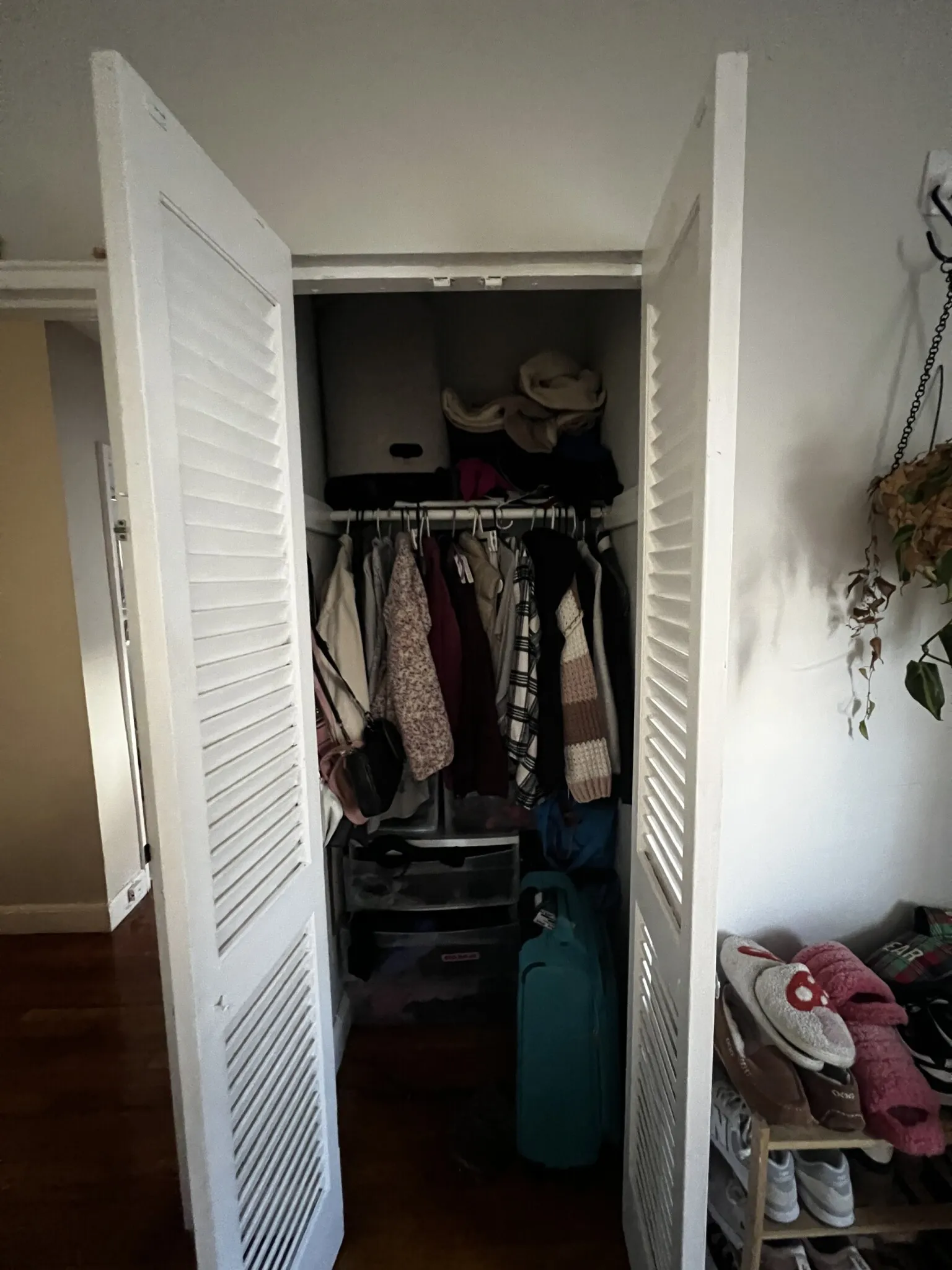 2 bed, 1 bath apartment for rent at 63 Selkirk Rd Unit 3, Brighton — photo 13 of 32