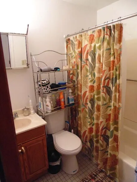 1 bed, 1 bath apartment for rent at 63 Huntington Ave Unit 4, Jamaica Plain — photo 6 of 7