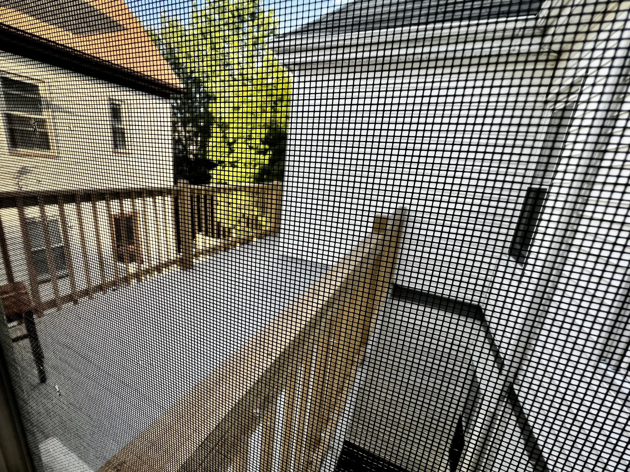 2 bed, 1 bath apartment for rent at 63 Sycamore St Unit 2, Winter Hill — photo 9 of 9