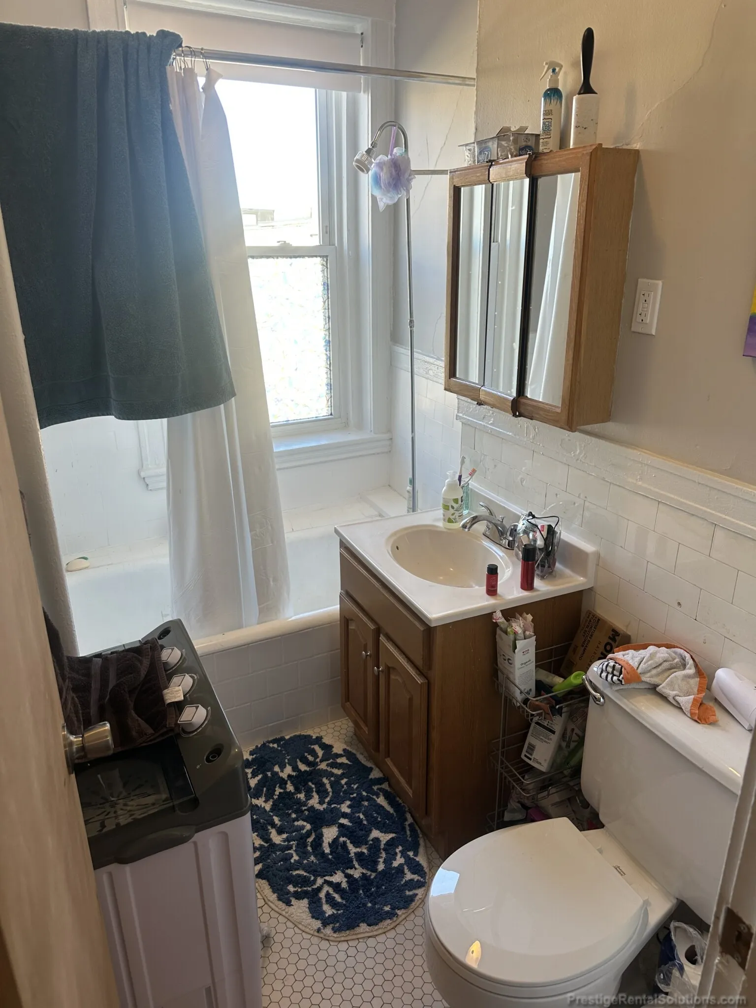 Studio bed, 1 bath apartment for rent at 63 Woodstock Ave Unit 12, Brighton — photo 8 of 12