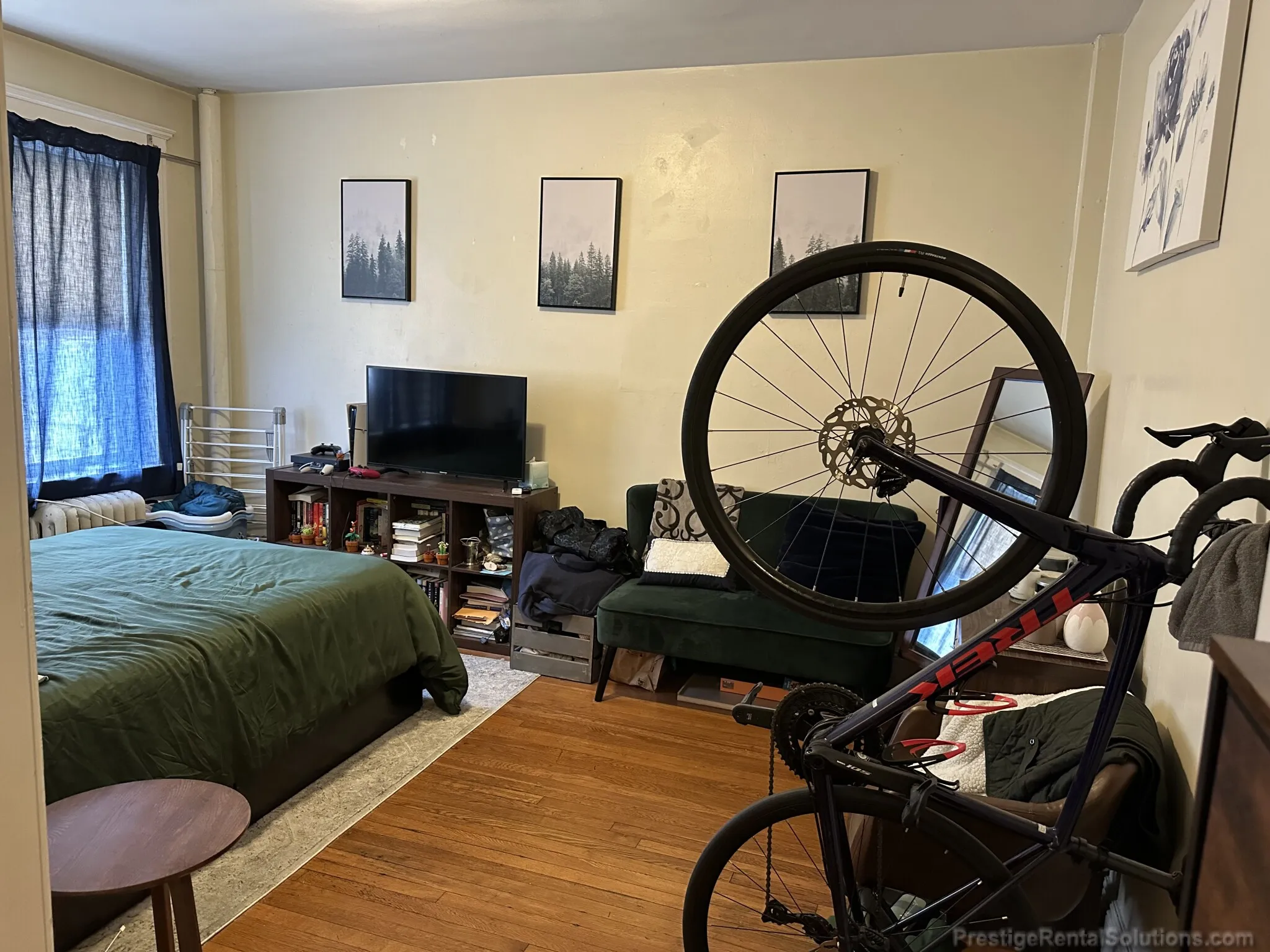 Studio bed, 1 bath apartment for rent at 63 Woodstock Ave Unit 5, Brighton — photo 3 of 13