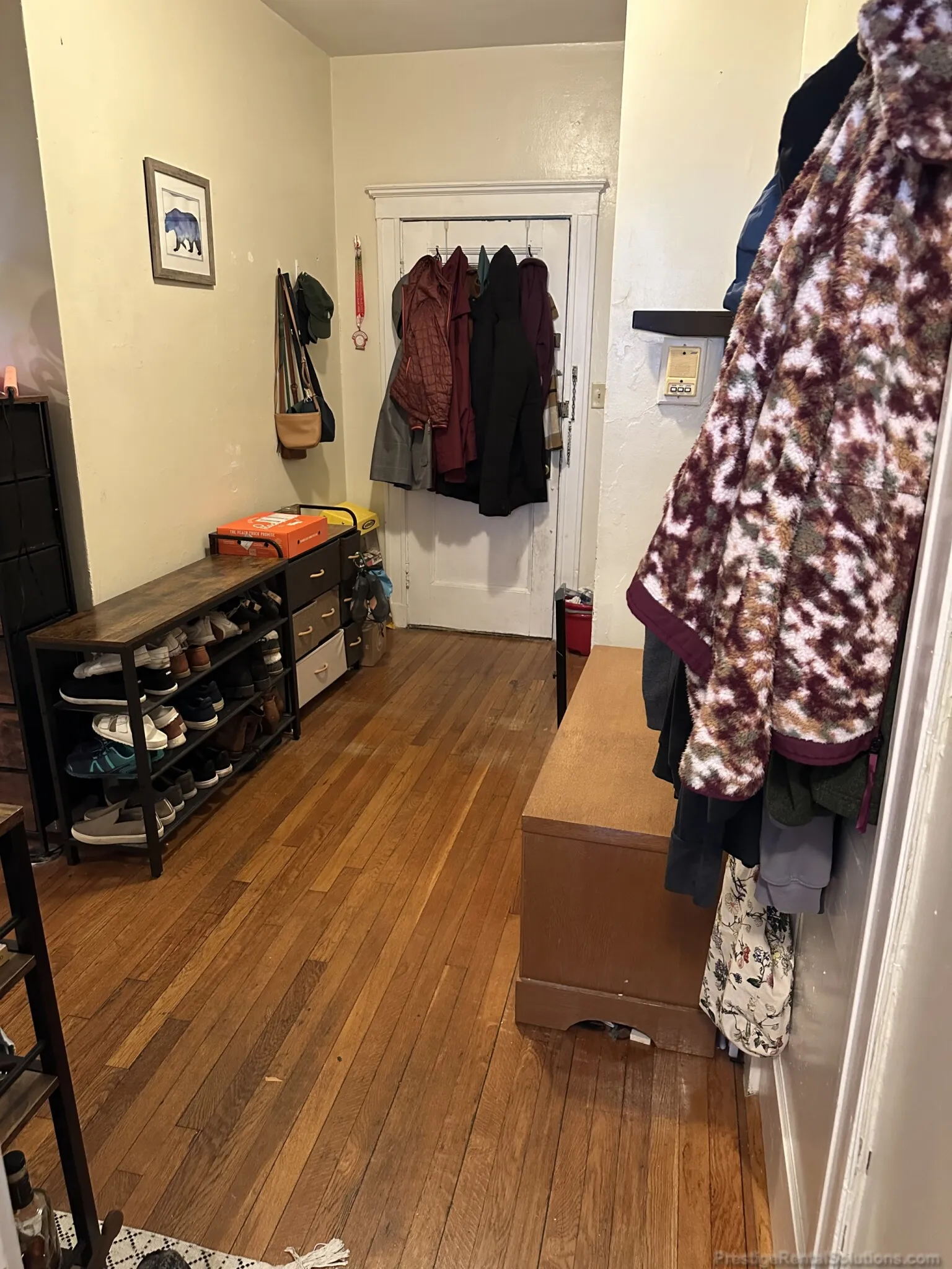 Studio bed, 1 bath apartment for rent at 63 Woodstock Ave Unit 5, Brighton — photo 10 of 13