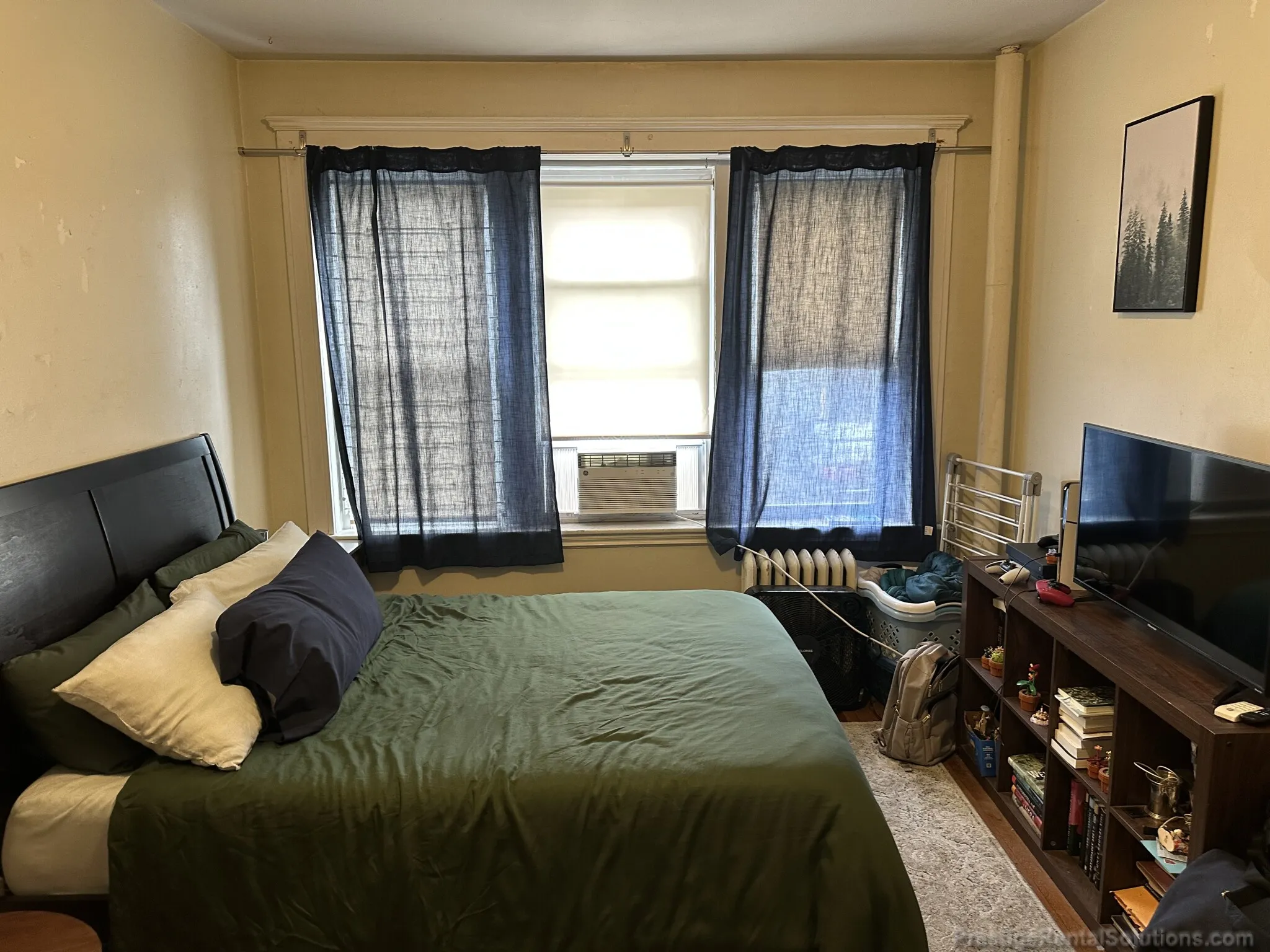 Studio bed, 1 bath apartment for rent at 63 Woodstock Ave Unit 5, Brighton — photo 2 of 13