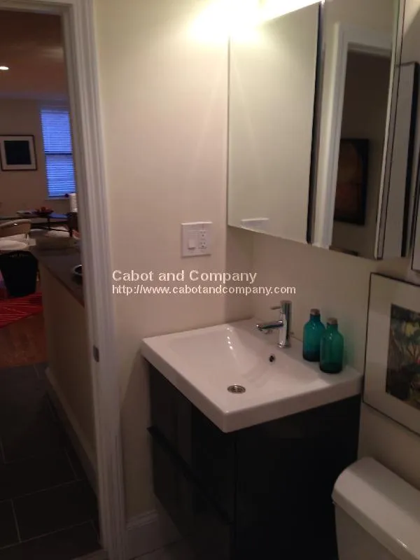 1 bed, 1 bath apartment for rent at 631 Tremont St Unit 2, South End — photo 7 of 8