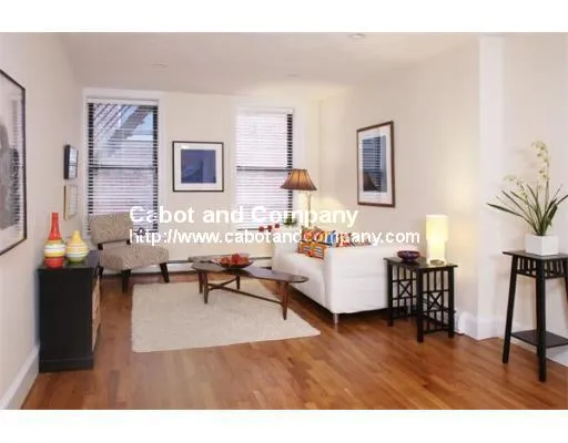 1 bed, 1 bath apartment for rent at 631 Tremont St Unit 2, South End — photo 3 of 8