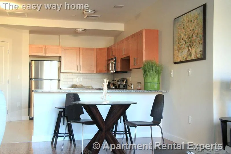 1 bed, 1 bath apartment for rent at 632 Massachusetts Ave Unit 204, Central Square — photo 4 of 13