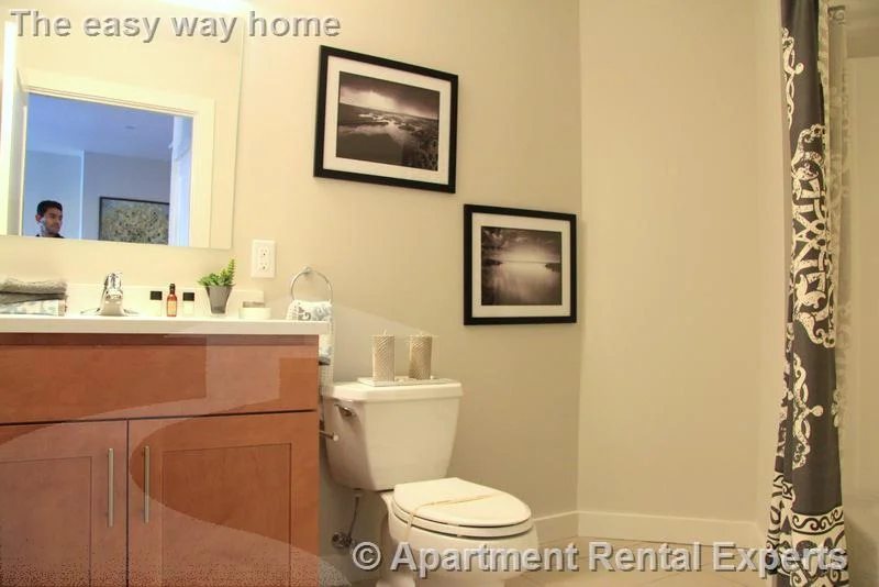 1 bed, 1 bath apartment for rent at 632 Massachusetts Ave Unit 204, Central Square — photo 7 of 13
