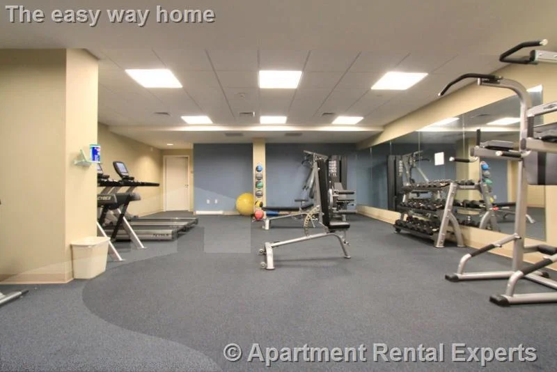 1 bed, 1 bath apartment for rent at 632 Massachusetts Ave Unit 204, Central Square — photo 11 of 13