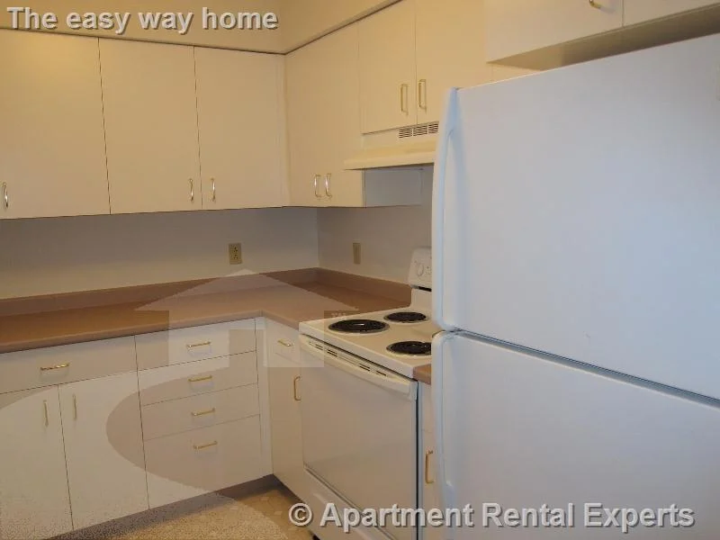 2 bed, 2 bath apartment for rent at 632 Massachusetts Ave Unit 317, Central Square — photo 3 of 14