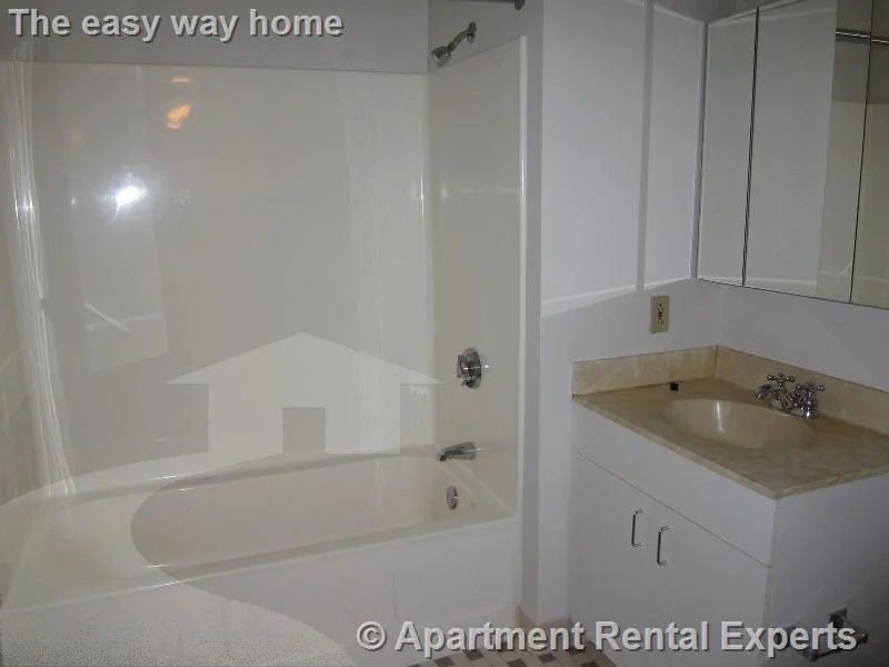 2 bed, 2 bath apartment for rent at 632 Massachusetts Ave Unit 317, Central Square — photo 8 of 14