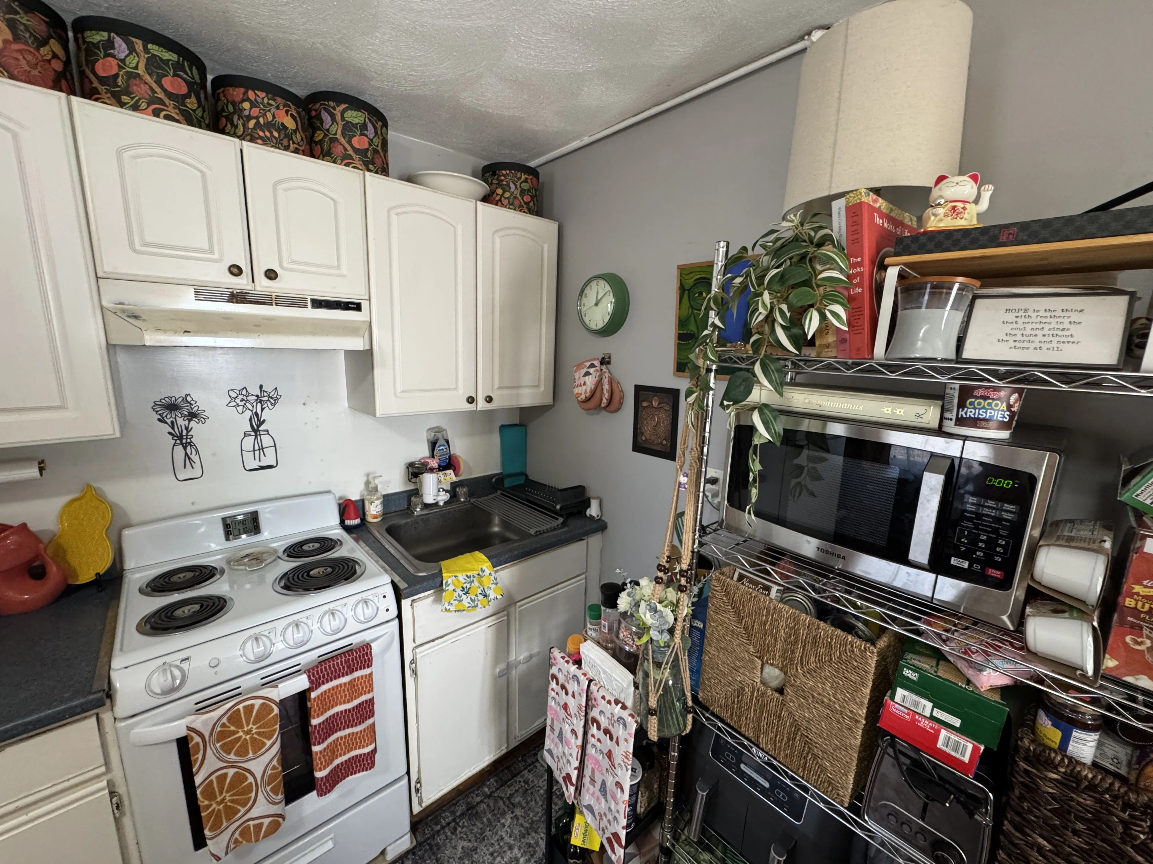 1 bed, 1 bath apartment for rent at 639 Somerville Ave Unit 1, Spring Hill — photo 6 of 16