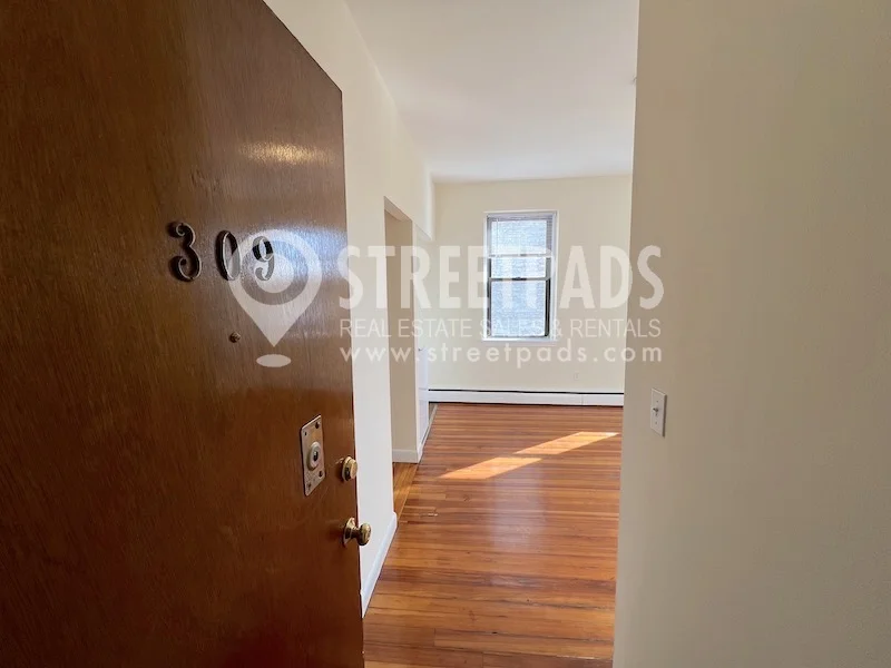 1 bed, 1 bath apartment for rent at 64 Brighton Ave Unit 309, Brighton — photo 23 of 23