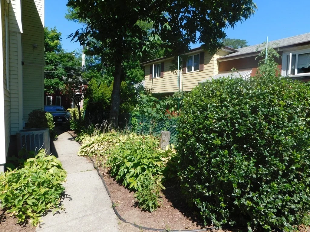 2 bed, 1 bath apartment for rent at 64 Brooks Ave Unit 1, Newtonville — photo 10 of 12