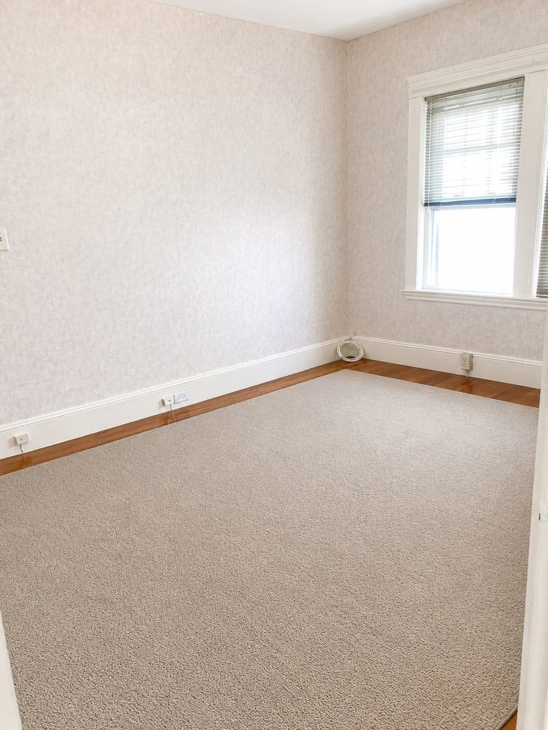 2 bed, 1 bath apartment for rent at 64 Freeman St Unit 1, Arlington — photo 5 of 7