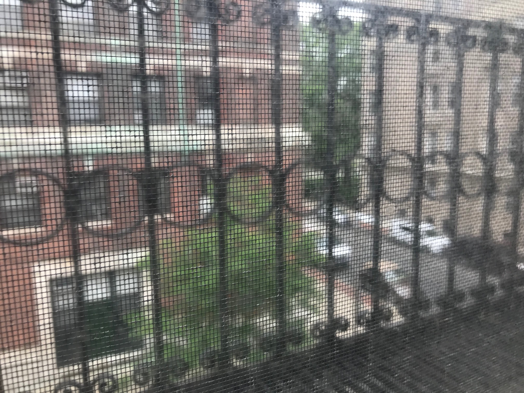 Studio bed, 1 bath apartment for rent at 64 Hemenway St Unit 16, Fenway — photo 4 of 9