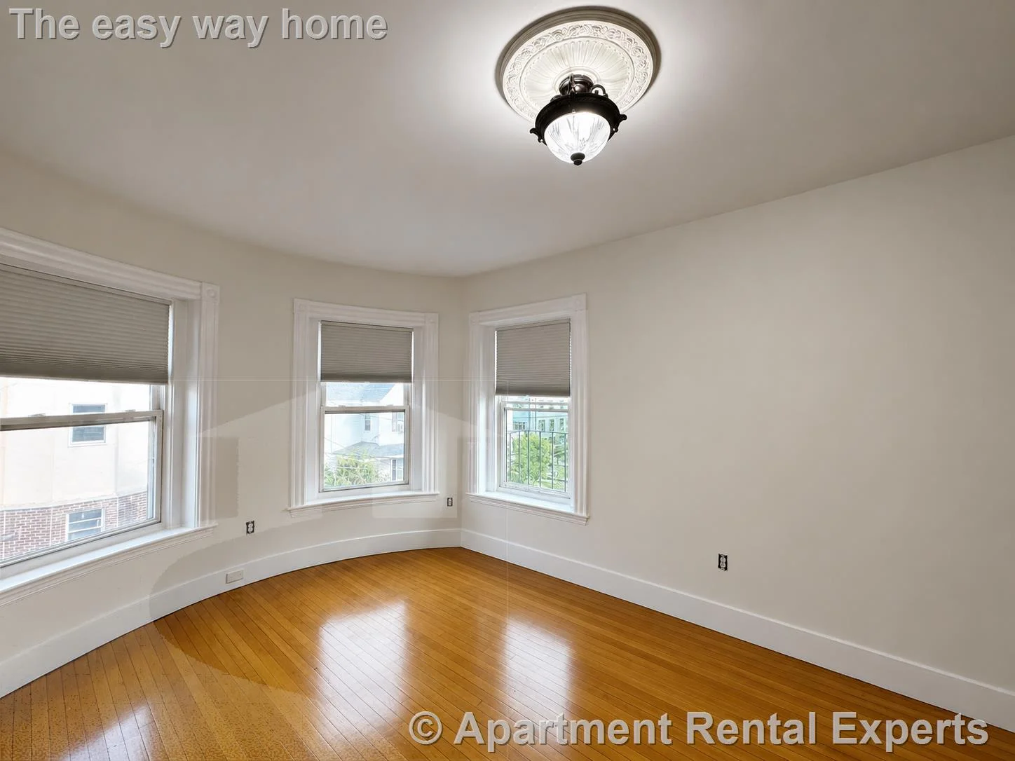 Studio bed, 1 bath apartment for rent at 64 Vinal Ave Unit 3, Spring Hill — photo 4 of 9