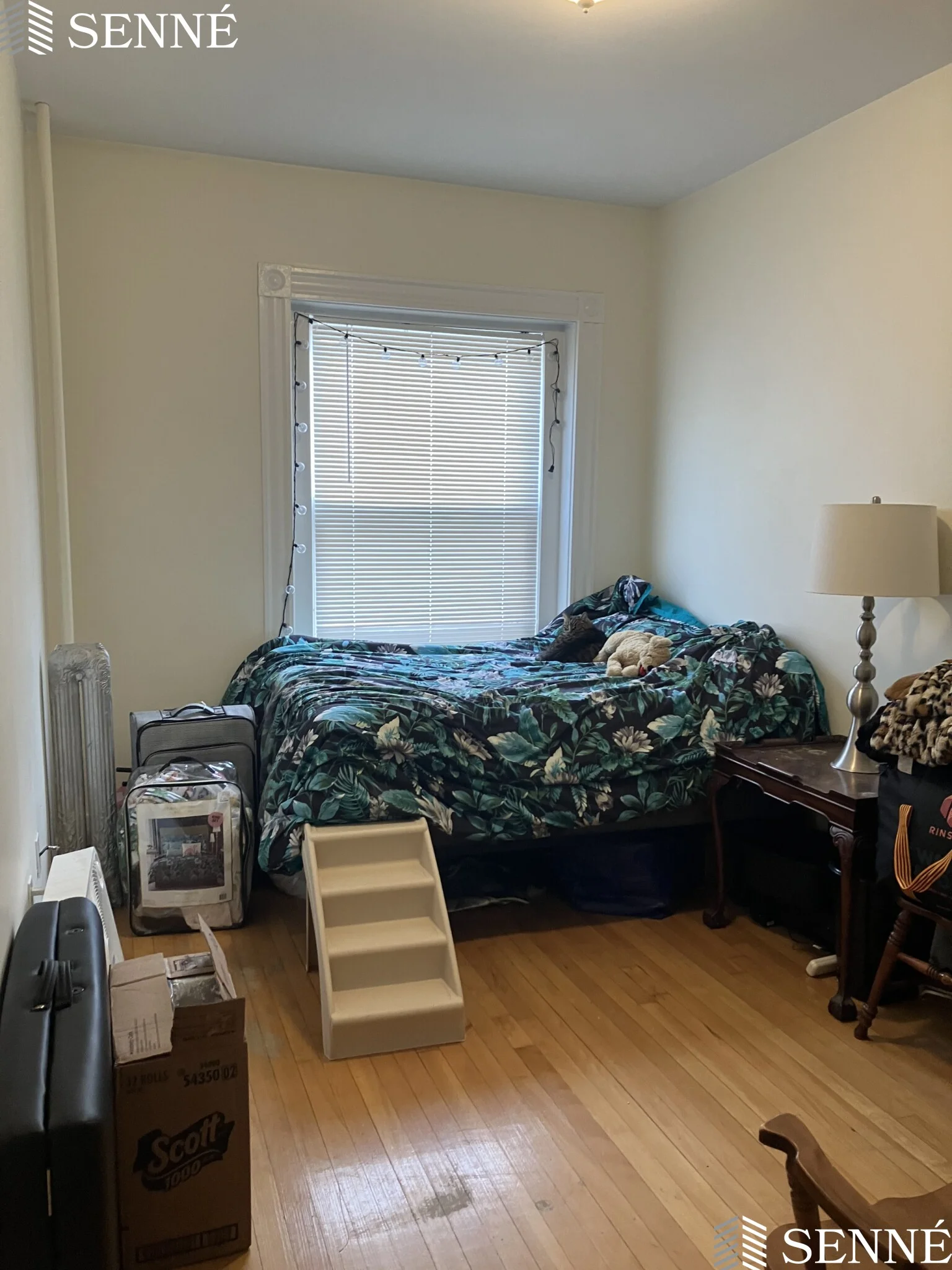 2 bed, 1 bath apartment for rent at 64 Vinal Ave Unit 4, Union Square — photo 9 of 13