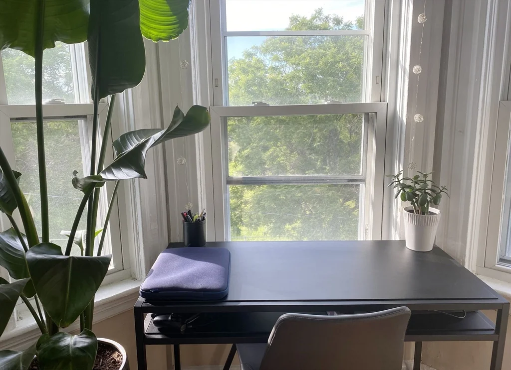 1 bed, 1 bath apartment for rent at 643 Saratoga St Unit 3, East Boston — photo 3 of 18