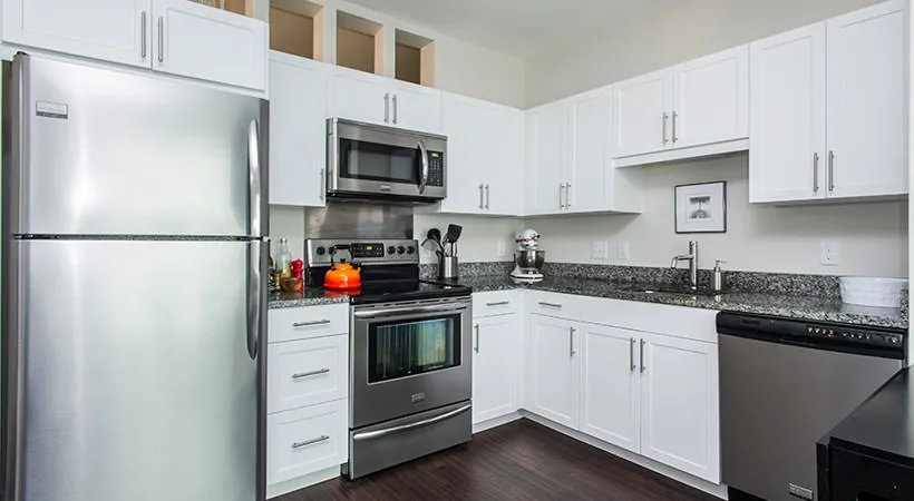 Studio bed, 1 bath apartment for rent at 65 Brainerd Rd Unit 102, Allston — photo 2 of 6