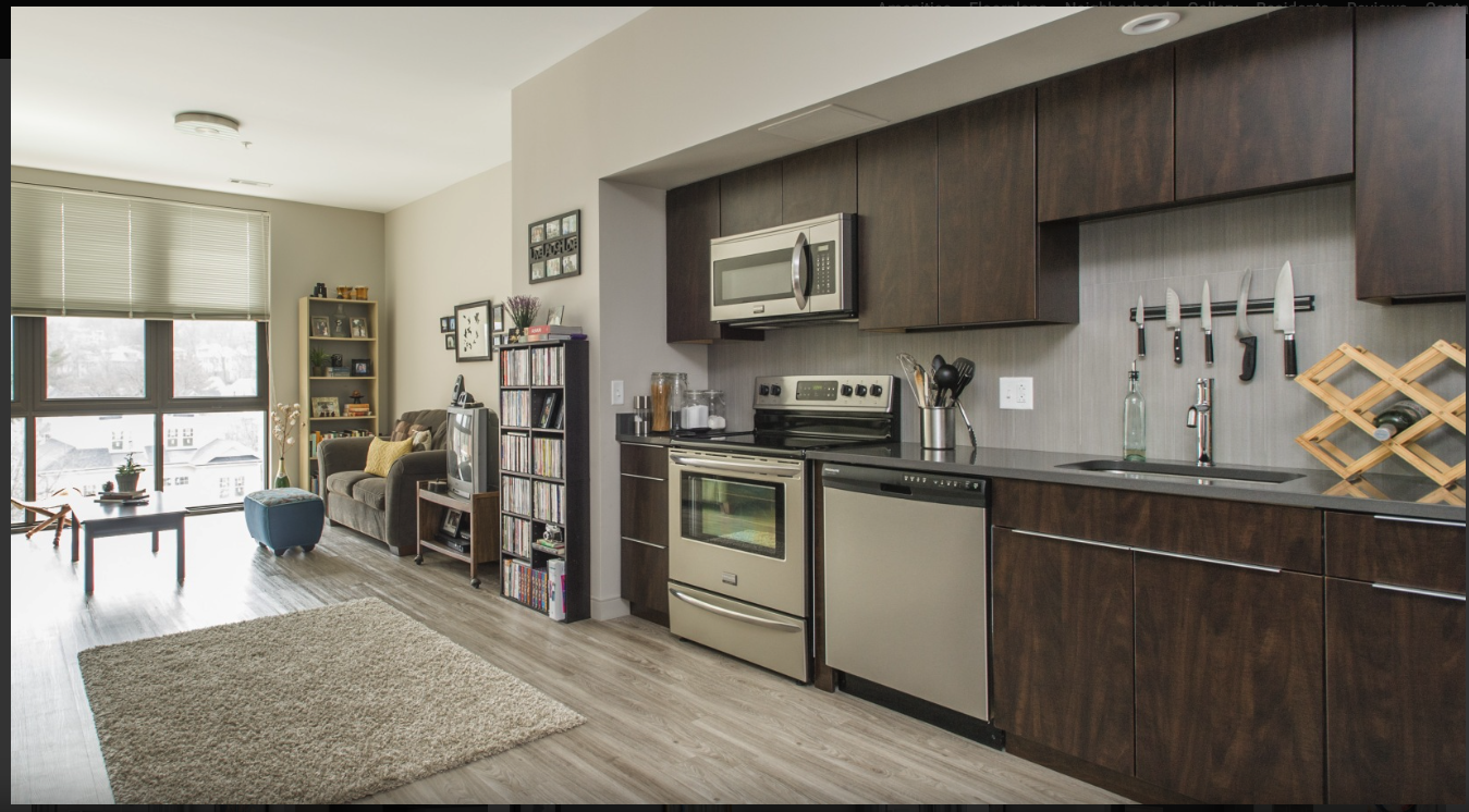 1 bed, 1 bath apartment for rent at 65 Brainerd Rd Unit 65-508, Allston — photo 2 of 15