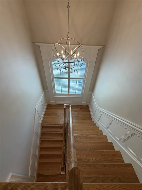 5 bed, 4+ bath apartment for rent at 65 Denton Rd, Wellesley Hills — photo 16 of 16