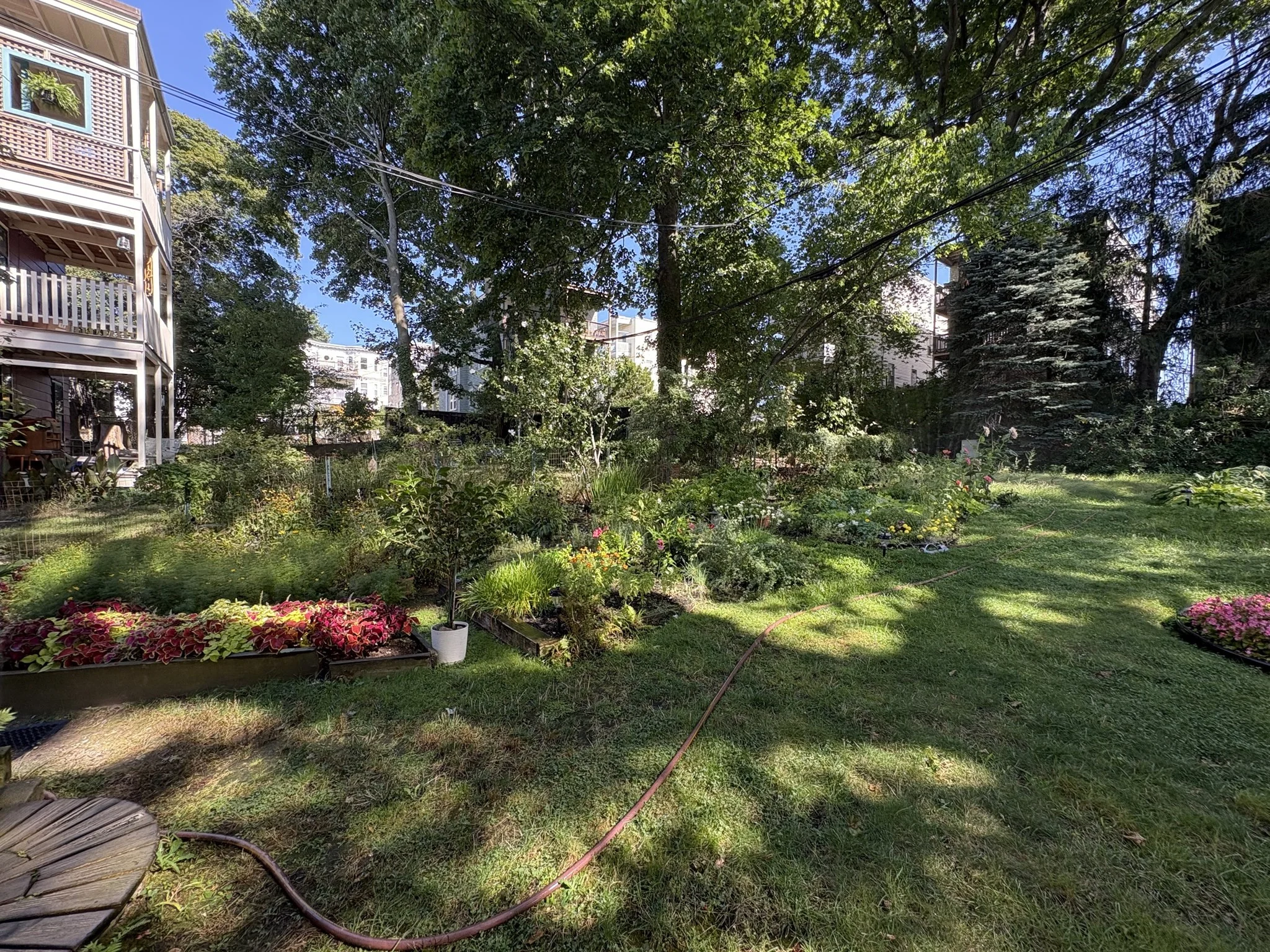 2 bed, 1 bath apartment for rent at 65 Draper St Unit 2, Dorchester — photo 22 of 25