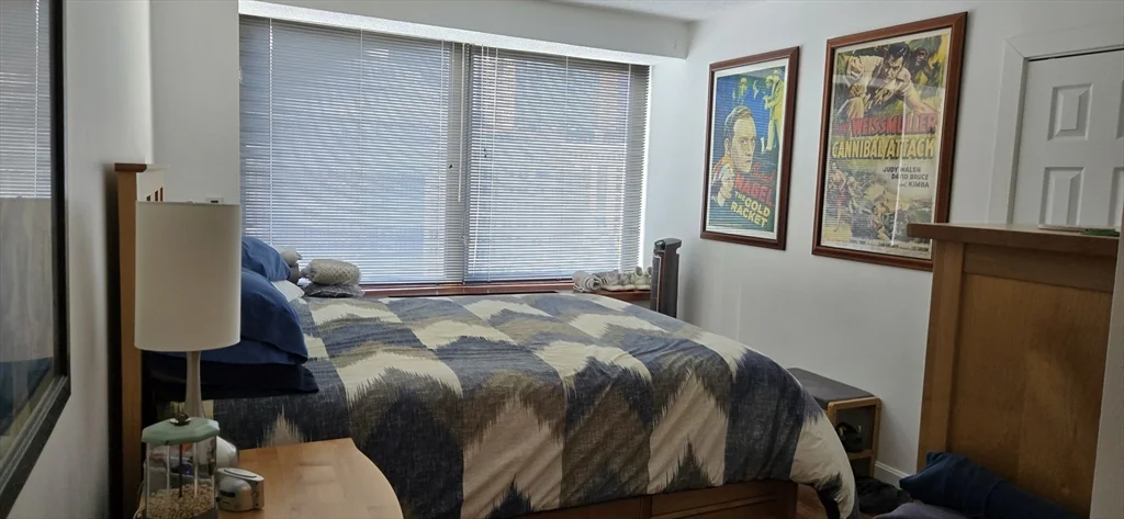 1 bed, 1 bath apartment for rent at 65 East India Row Unit 9A, Waterfront — photo 7 of 15